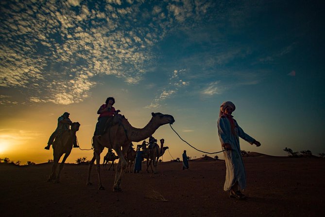 M'Hamid: Overnight in Luxury Desert Camp With Camel Ride, Meals & Sandboarding - Pricing Details
