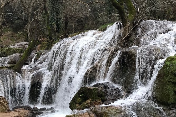Middle Atlas , Cedar Forest and Azrou Day Trip From Fez - Itinerary for Your Day Trip