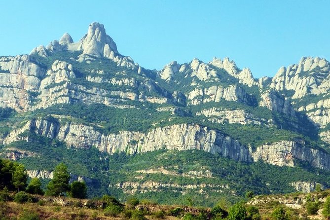 Montserrat Mountains Half - Day Private Tour - From Barcelona - Pricing Details