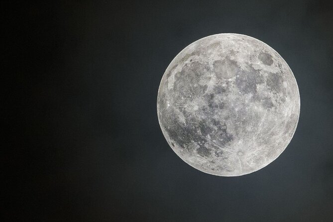 Moonlight Safari - Cancellation Policy Details