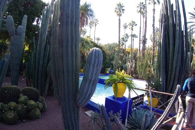 Morocco Private Tour 8 Days 7 Nights (Imperial Cities and Grand South Tour) - Tour Highlights