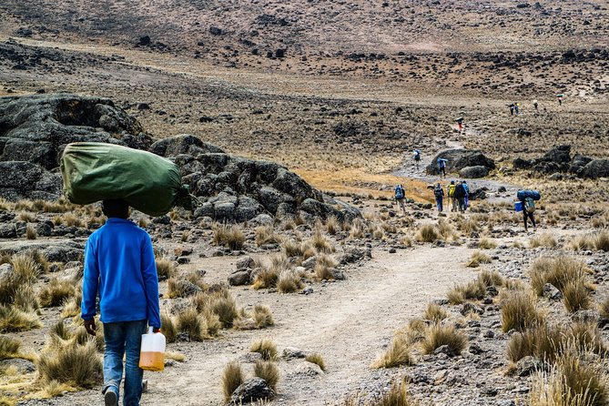 Mount Kilimanjaro 5 Days Marangu Route (Oldest, Easiest and Well Established ) - Health and Fitness Requirements