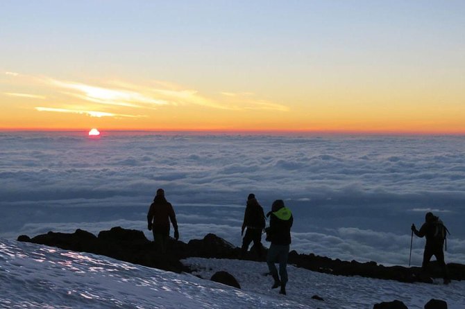 Mount Kilimanjaro 6 Days - Machame Route - Booking and Pricing