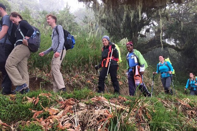 Mount Kilimanjaro 7 Days - Machame Route - Safety Measures and Guidelines