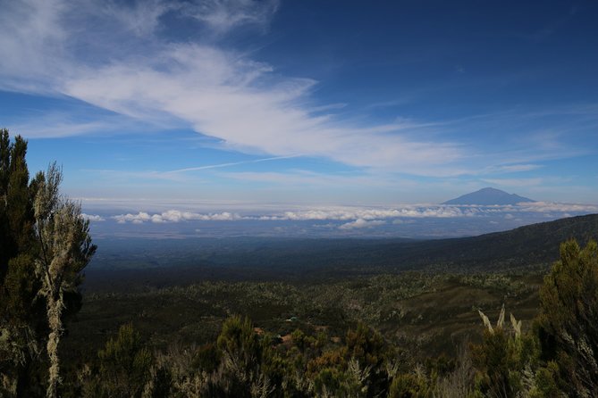 Mount Kilimanjaro Day Hike - Cancellation Policy