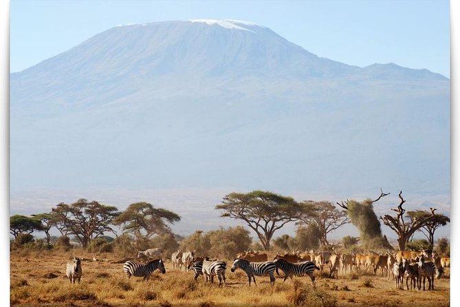 Mount Kilimanjaro Day Hike - Directions for the Hike