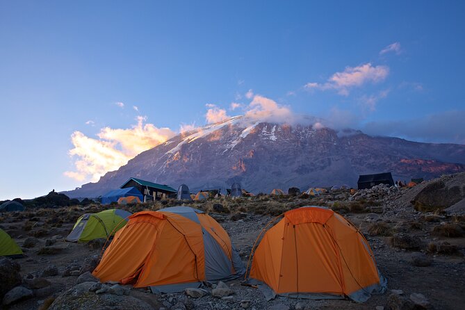 Mount Kilimanjaro - Machame Route - Wildlife Encounters