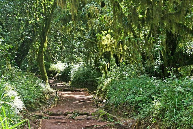 Mt.kilimanjaro-marangu Route - Route Overview