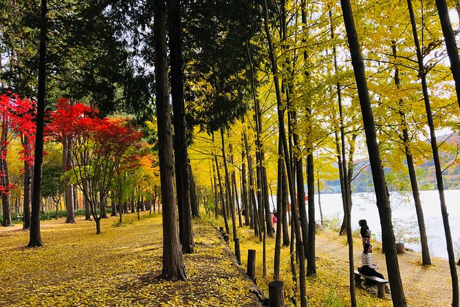 Mt. Seorak+Nami Island+Garden of Morning Calm Day Trip From Seoul - Traveler Experiences