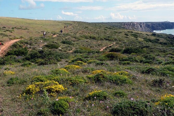 MTB Tour in Portugal, Between Alentejo and Costa Vicentina. - Frequently Asked Questions