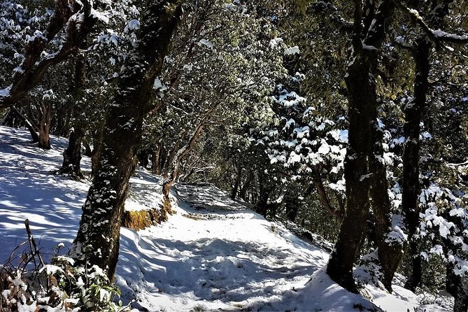 Nag Tibba 2 Days Trek - Trek Start Time