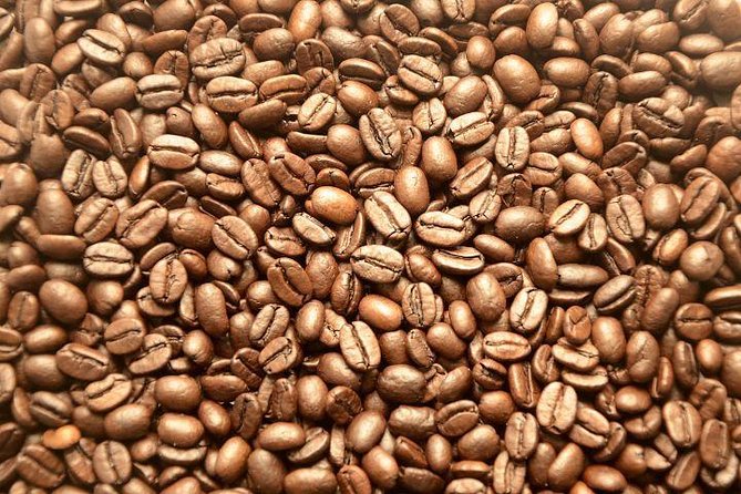Nairobi Day Tour to the Coffee Farm - Customer Reviews