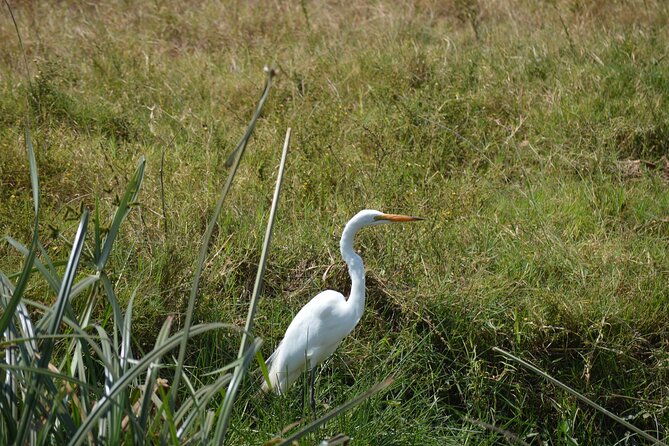 Nairobi National Park Half Day Tour - Additional Information