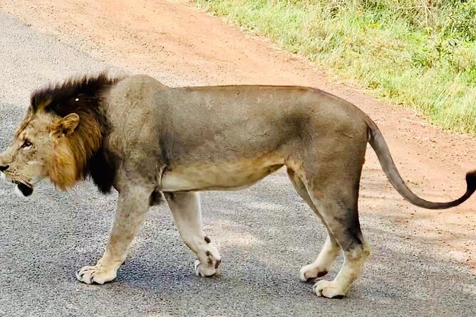 Nairobi National Park,Giraffe Centre, Karen Blixen Museum. - Pricing