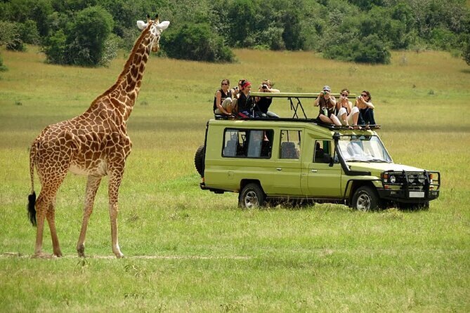 Nairobinational Park, Giraffe Center , Elephant and Blixen Museum - Elephant Orphanage Visit