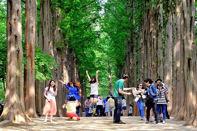 Nami Island, Cable Car, Garden of Morning Calm Panoramic Tour - Logistics Details