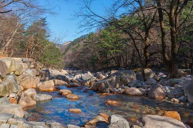 Nami Island & Mount Seorak Day Trip From Seoul - Traveler Guidelines