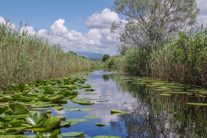 National Bird Reserve Hutovo Blato Photo Safari - Start Time and Additional Info
