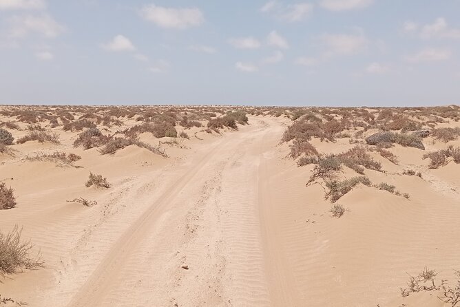 National Park & Sahara Day Trip With Food - Transportation Information
