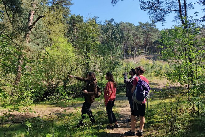 Nature Walk and Wildlife Tour in Sobieszewo Island - Tour Details