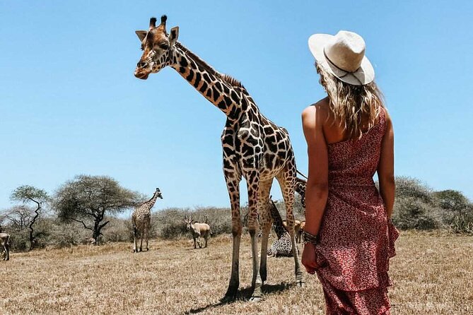 Nature Walk With Giraffes in Mombasa - Meeting Information