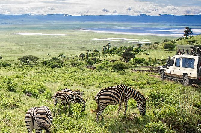 Ngorongoro Crater Day Trip - Directions and What to Expect
