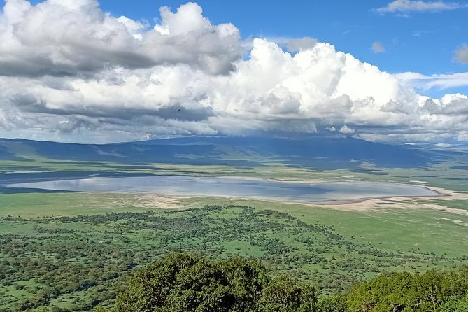Ngorongoro Day Trip
