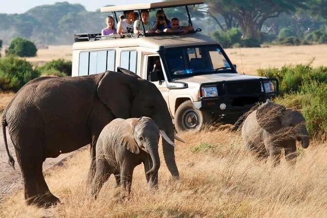 Ngutuni Concervancy 2 Days Safari From Mombasa Beach - Booking Options and Guarantee
