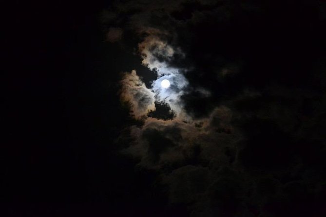Night With Astrophile in the Conero Park – Private Tour