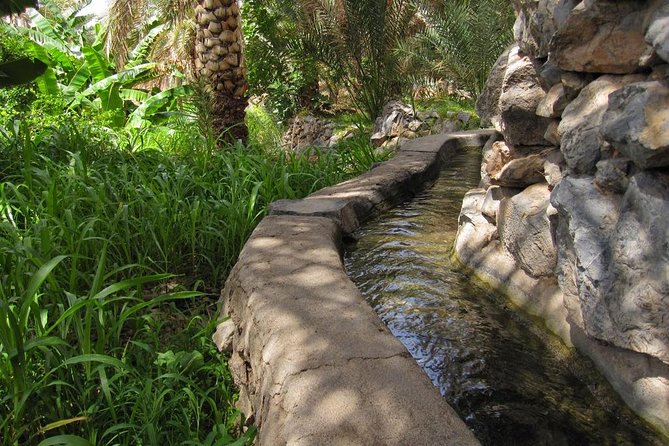 Nizwa Full Day (Muscat Tours) : Oman Shore Excursions - Pricing and Discounts