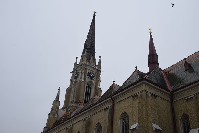 Novi Sad Private Walking Tour With a Professional Guide - Additional Information and Policies