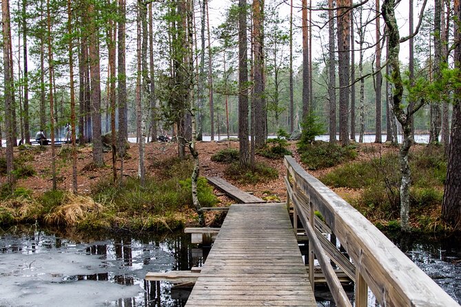 Nuuksio National Park Hiking Experience From Helsinki - Flora and Fauna