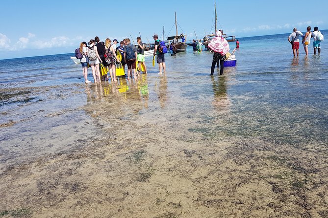 Ocean Safari Tour - The Sum Up
