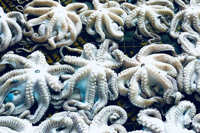 Olhão Fish Market & Food Tour - Cancellation Policy