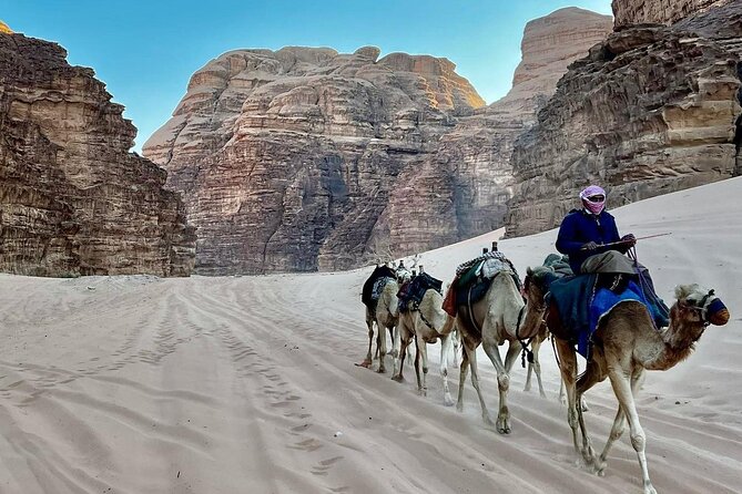 One Day Petra & Wadi Rum From Aqaba - The Sum Up
