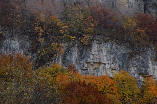 One Day Trip From Sofia: a Walking Over the Jurassic Sea - Dining Experience