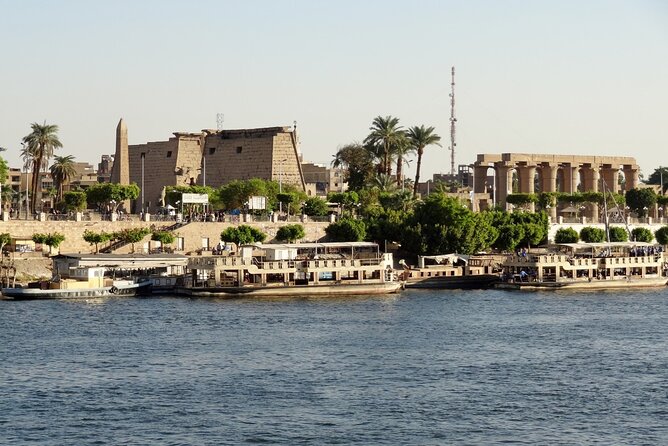 One Hour Private Horse Drawn Carriage Tour in Luxor City - Sustainability Efforts
