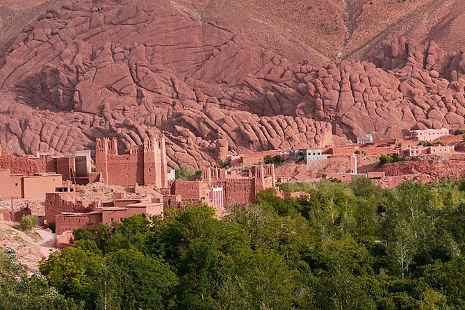 Ouarzazate to Marrakech: Your Comfortable Private Transfer - Customer Reviews and Satisfaction