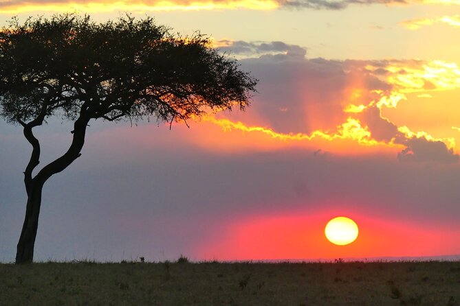 Overnight Safari Tour to Severin Camp From Mombasa - Safety and Health Guidelines