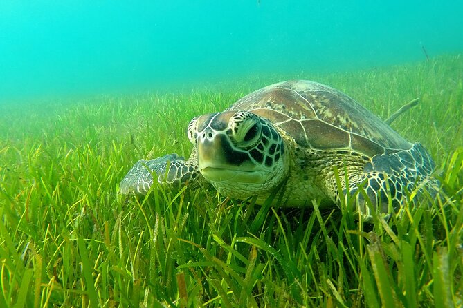 Paddle Excursions in Nosy Sakatia - Inclusions and Additional Information