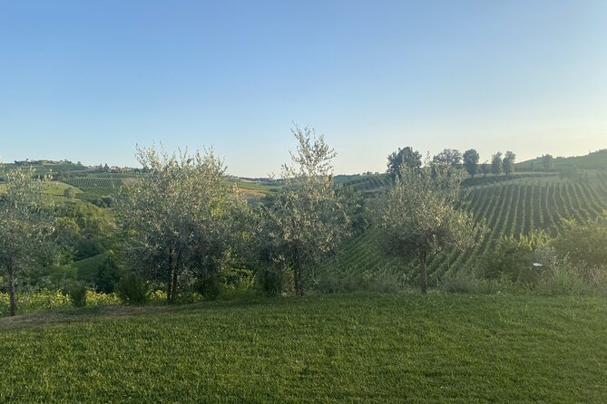 Panoramic Wine Tasting in Oltrepò Pavese - Cancellation Policy Overview