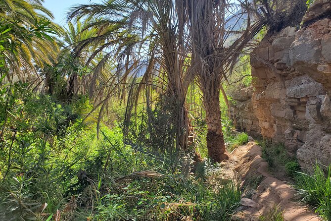 Paradise Valley Half-Day Guided Trip - Customer Reviews