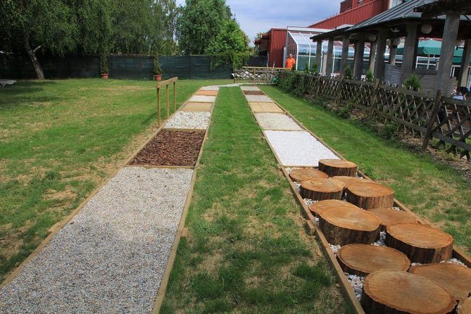 Park Therapy and Barefooting - Mindfulness and Grounding