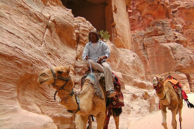 Petra Day Tour- Best of Petra Tour From Amman With Guide and Lunch Included - Additional Information