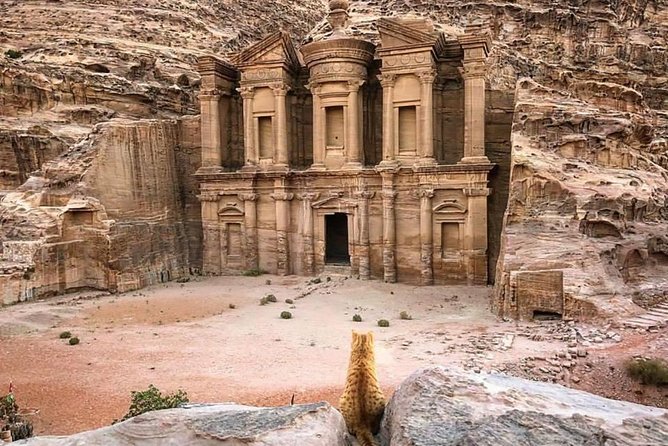Petra Day Tour From Aqaba Port (Shore Excursion Petra) - JHT - What To Expect During the Tour