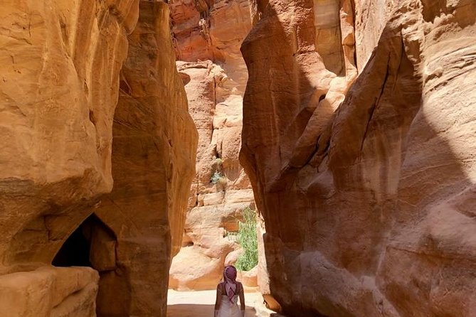 Petra Visit Layover Tour - Cancellation Policy