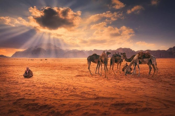 Petra & Wadi Rum Tour for 03 Days - 02 Nights From Eilat Border - Reviews