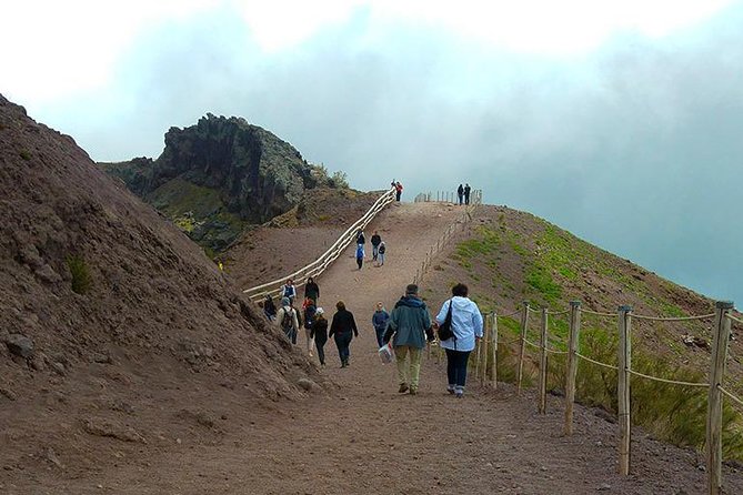 Pompeii and Mount Vesuvius Archaeological Park Tour - Pricing