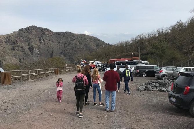 Pompeii Skip-The-Line and Mt Vesuvius With Lunch&Winetasting From Naples Port - Additional Info