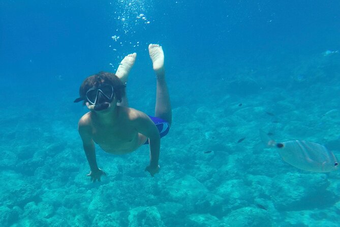 Porto Conte Park 3 Hours Snorkeling Experience - Frequently Asked Questions